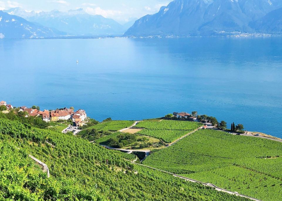 Shake Swiss : rando confiance nouvelle édition ! 1