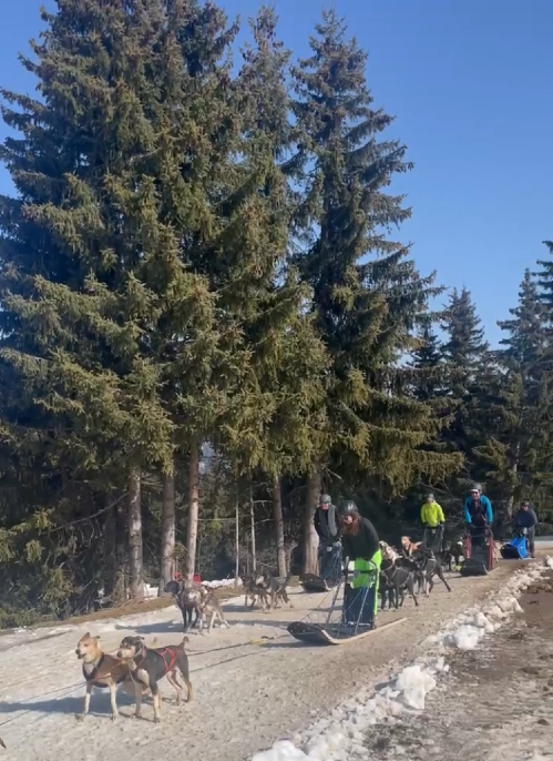 Séjour multiactivités d'hiver pour FTE Ingenierie 1